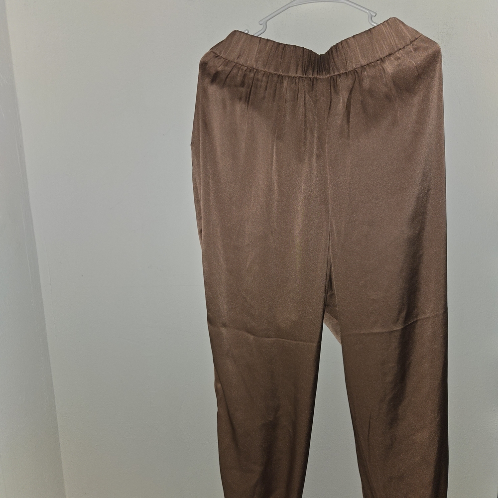 Express Shimmering Bronze Pants
